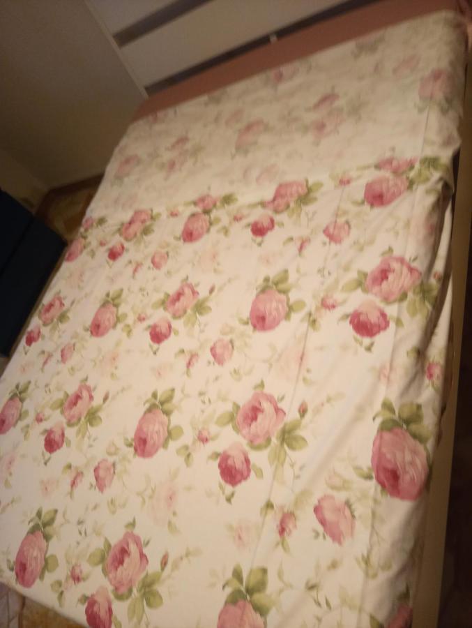 Appartement Casa Vacanze Giulia A Careggi Wi-Fi à Florence Extérieur photo